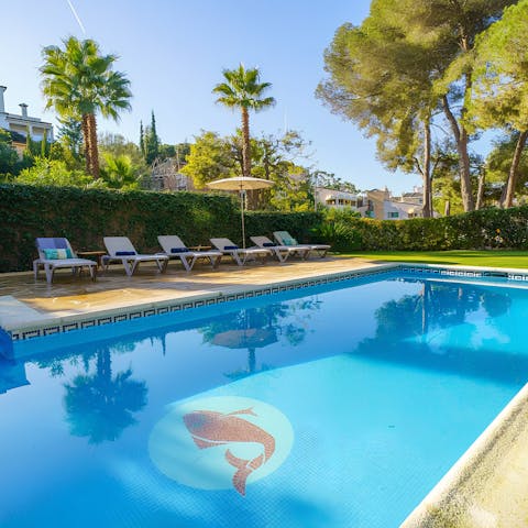 Unwind in the sun in the large garden