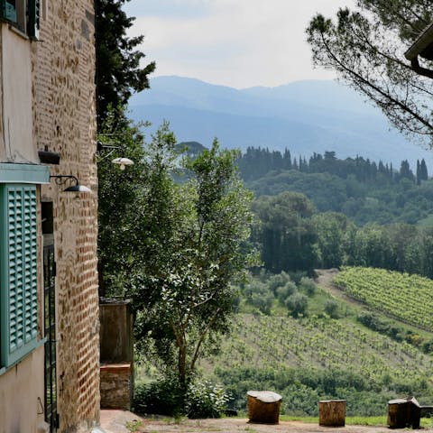 Visit the village and vineyards of Impruneta