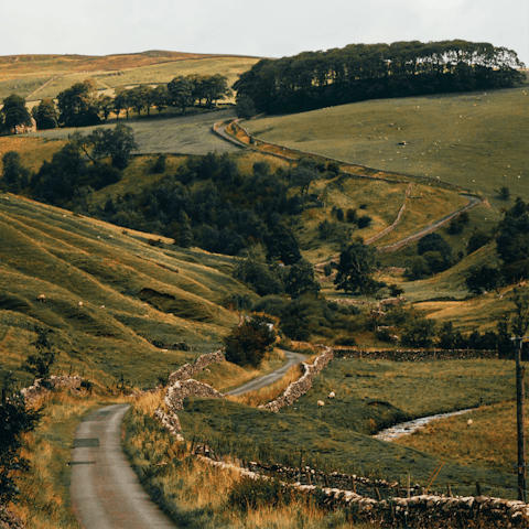 Explore the rich, lush countryside of the North York Moors National Park, 6 miles away