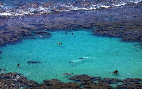 Snorkel with sea turtles and tropical fish at Kahalu'u Beach Park's coral reef