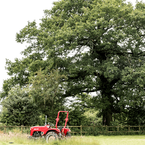 Breathe in the fresh countryside air