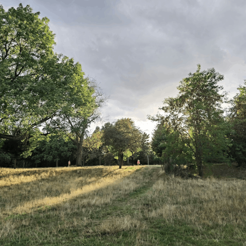Begin your day with a stroll through Wandsworth Common