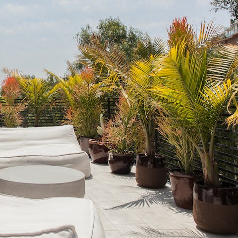 A beautiful terrace