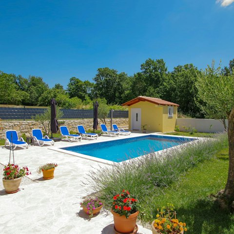 Enjoy a day of swimming in the private pool