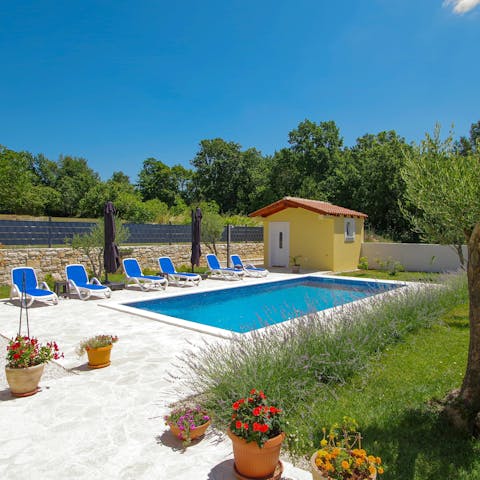 Enjoy a day of swimming in the private pool
