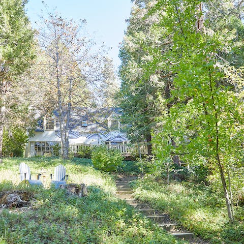 Explore the forest trails leading straight from the home