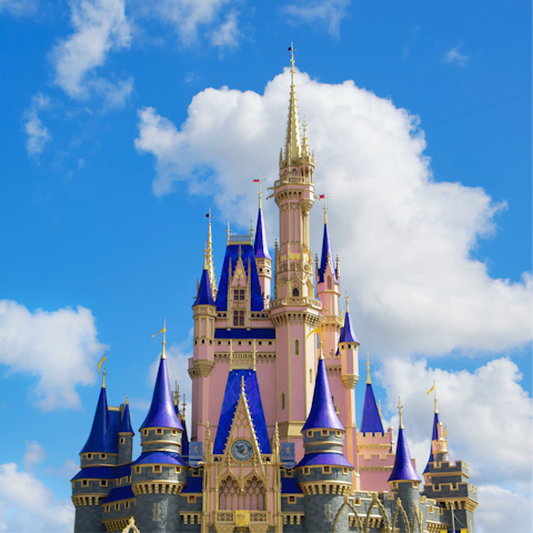 Discover the magic of Florida while exploring Disney World