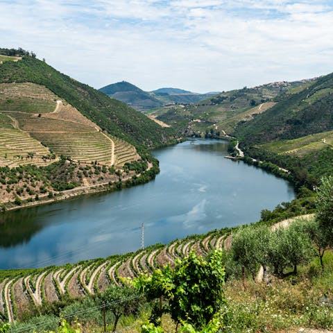 Take in the magnificent view from São Leonardo da Galafura, a short drive away