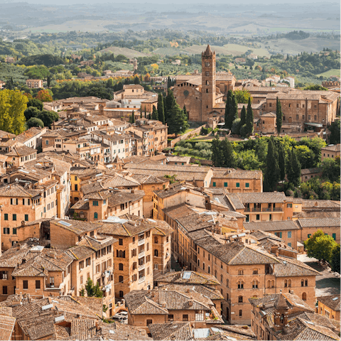 Explore this slice of Tuscany, including Cortona, 8 kilometres away