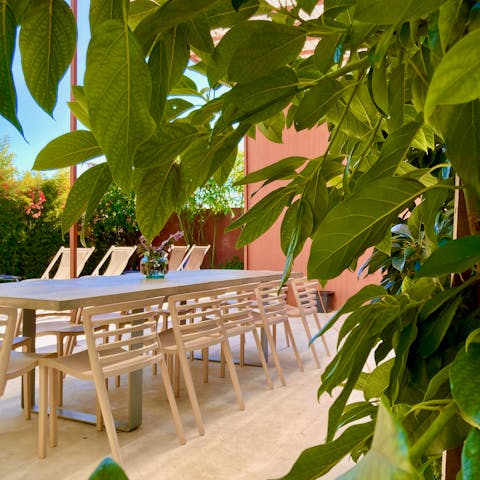 Feel secluded from the world while you dine on lunch sandes in the courtyard