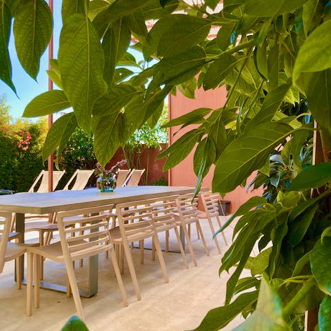 Feel secluded from the world while you dine on lunch sandes in the courtyard