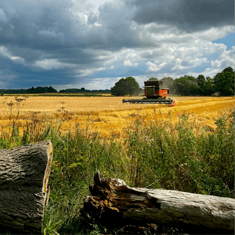 Treat yourself to a refreshing rural retreat in the Cotswolds