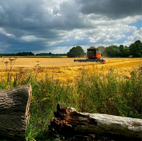 Treat yourself to a refreshing rural retreat in the Cotswolds