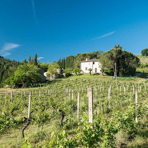 Enjoy the rustic views