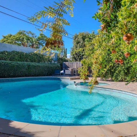 Relax in the LA sun by the pool, surrounded by fruit trees