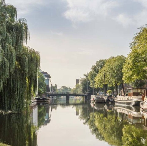 Explore Amsterdam from your great location in the Plantage district