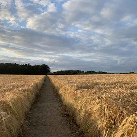 Explore scenic trails, nature reserves, and routes perfect for walking or cycling