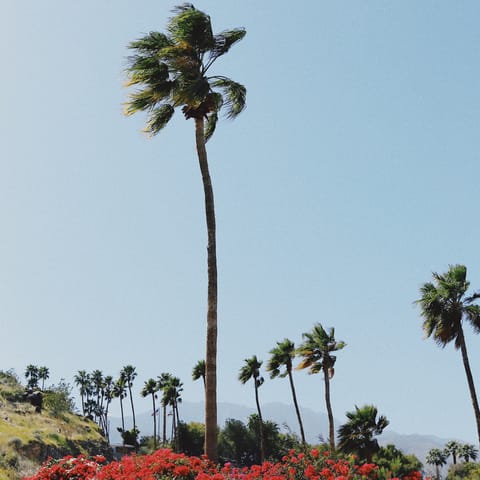 Stay in the sought-after destination of Palm Springs