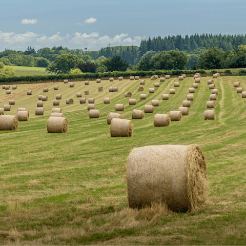 Put on your hiking boots and explore the Dorset countryside