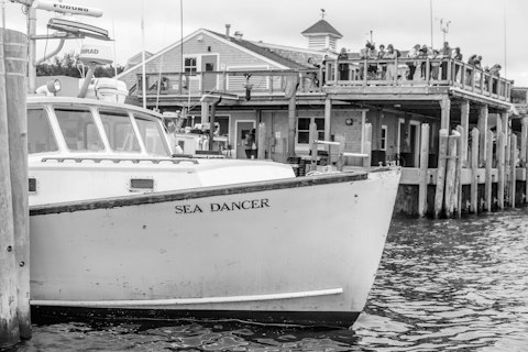 Watch Chatham Fish Pier bustle with boats, seals, and fresh catches