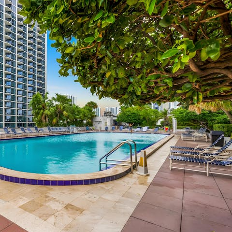 Cool off from the Miami sun in the outdoor pool