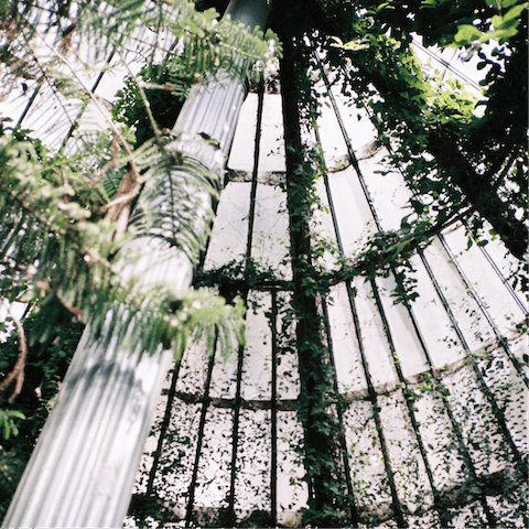 Visit the Oxford Botanic Garden, a ten-minute drive away