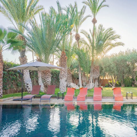 Indulge in a picturesque pool day beneath the palm trees