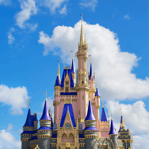 Experience the magic of Florida while exploring Disney World