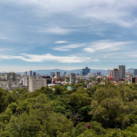 Book a tour and experience the best of Mexico City