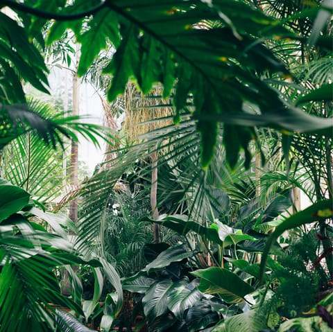 Visit the Nahariya Botanical Garden, within a ten–minute drive away