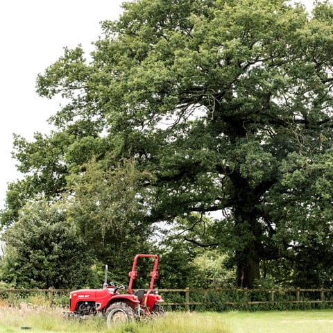 Stay on a farm in the heart of The Brecks, only a forty-minute drive from Norwich