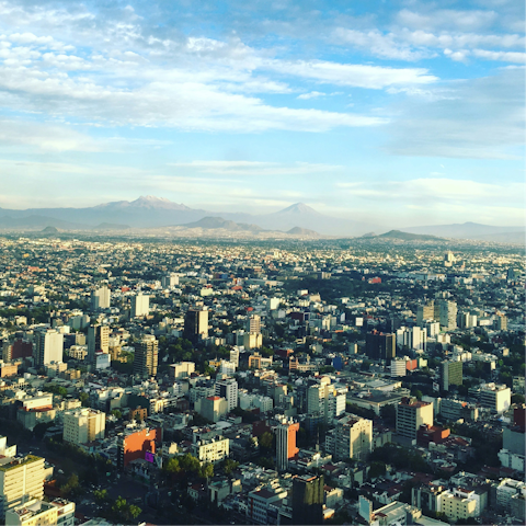 Experience the magic of Mexico City from La Condesa