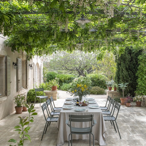 Tuck into a French feast on the vine-covered terrace