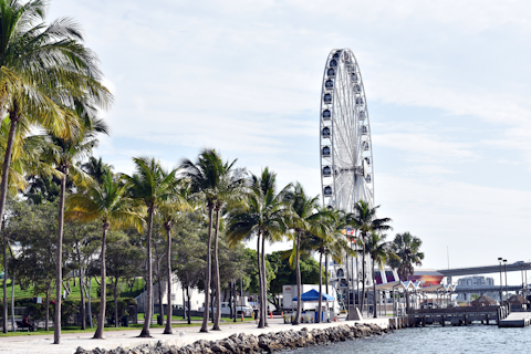 Relax at Bayfront Park with sweeping views across Biscayne Bay, a twenty-minute walk