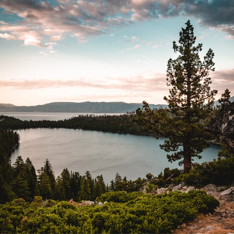 Take the free Chamberlands shuttle down to Lake Tahoe and sprawl out on the private section of beach