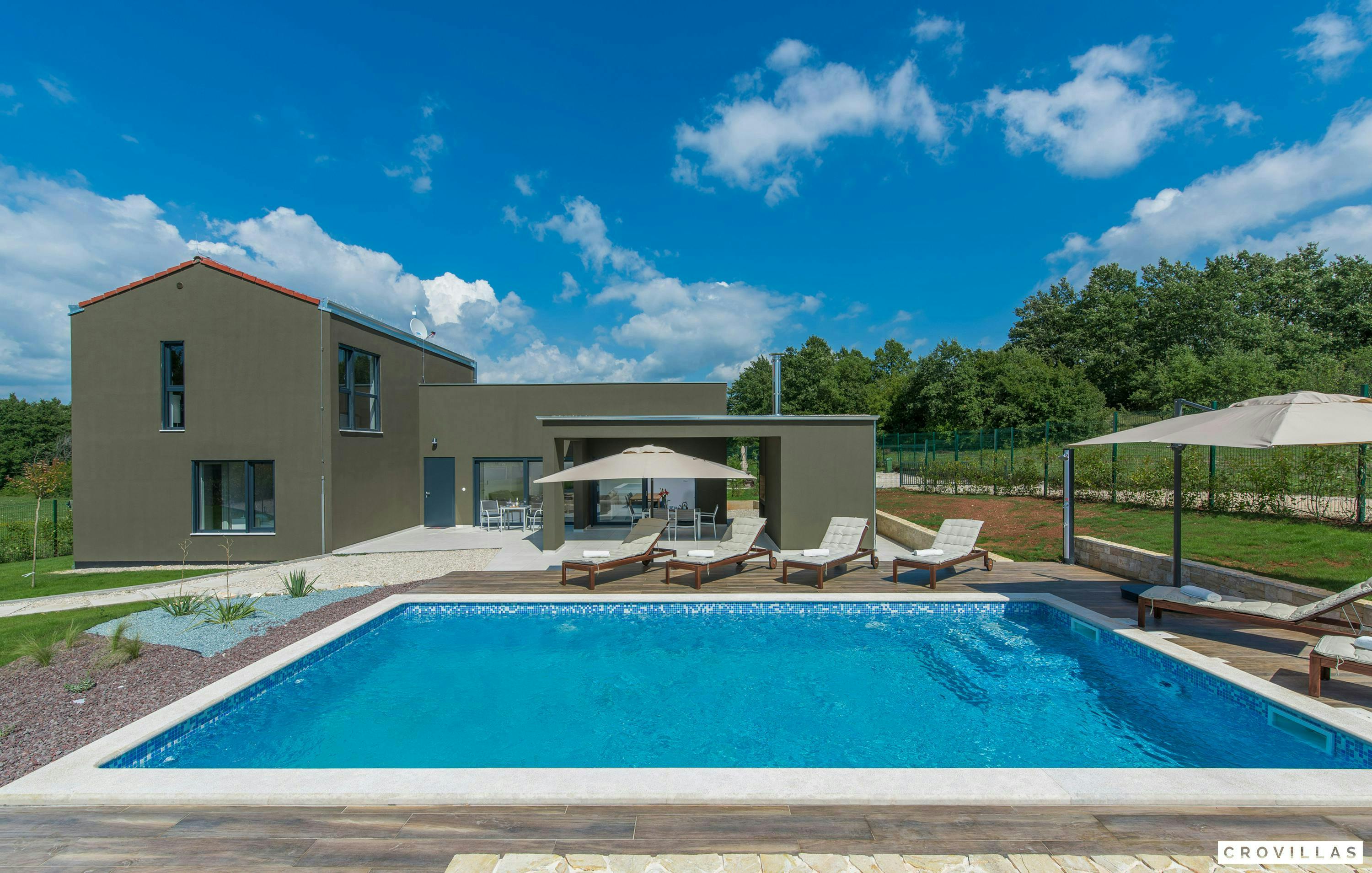 The Honey Bee's Song