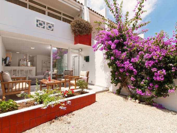 Spanish Bougainvillea
