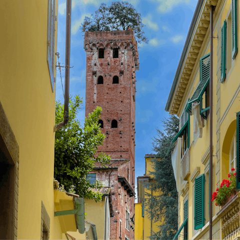 Discover ancient buildings in Lucca (a twenty-five-minute drive)