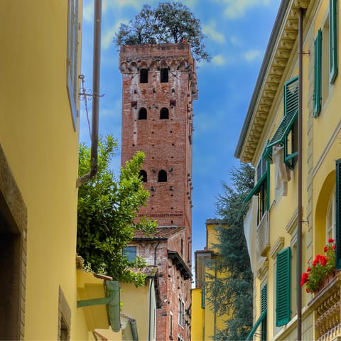 Discover ancient buildings in Lucca (a twenty-five-minute drive)