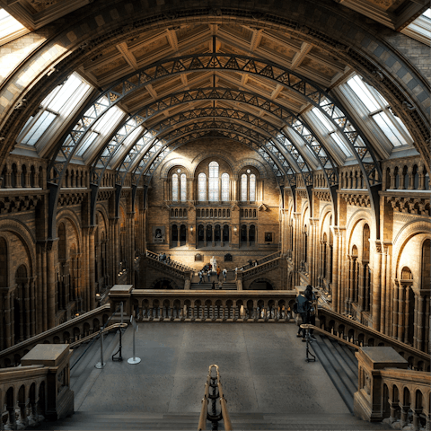 Wander around the Natural History Museum, a short stroll away