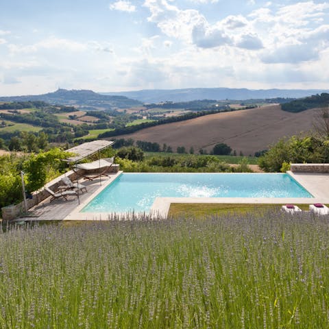 Make a splash in the private pool, surrounded by lavender fields
