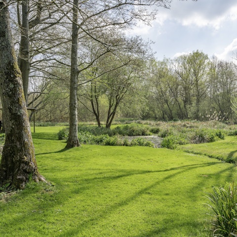 Explore the six acres of wild and landscaped gardens