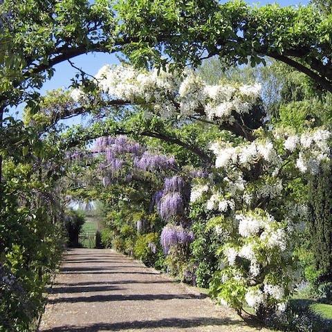 Stroll around the scenic estate, a lovely playground for kids