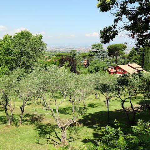 Escape the city's summer heat and take shade under the trees