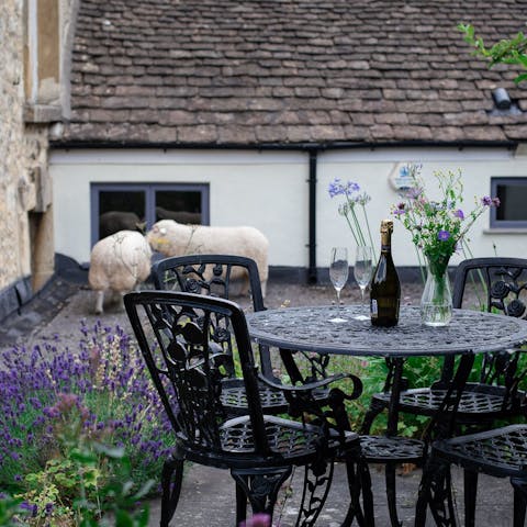 Enjoy a glass of wine in the courtyard garden