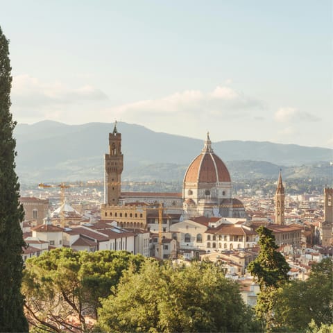 Experience the majestic heart of Florence while sightseeing