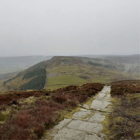Explore the stunning surroundings of North York Moors National Park