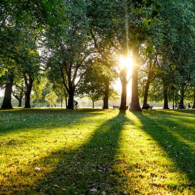 Pack a picnic and head to Hyde Park for an alfresco meal