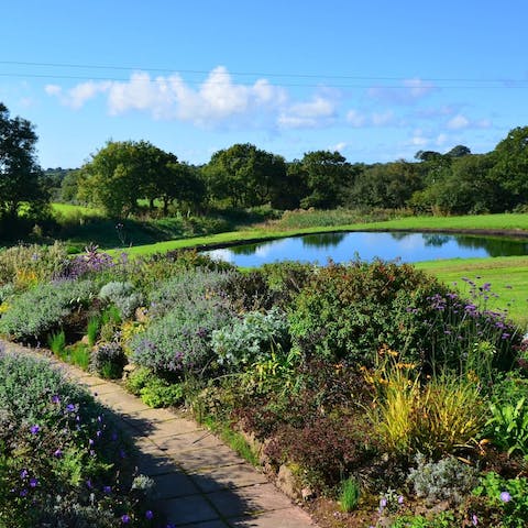 Wander about the colourful sensory garden and watch for local wildlife
