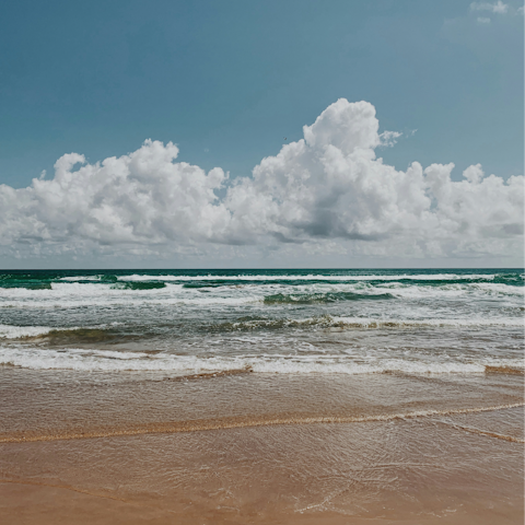 Discover the Texas Coast – the beach is within easy reach